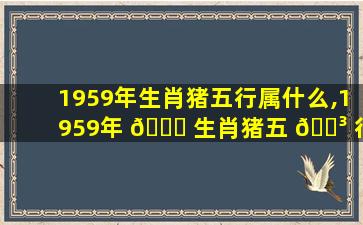 1959年生肖猪五行属什么,1959年 🐟 生肖猪五 🌳 行属什么属性
